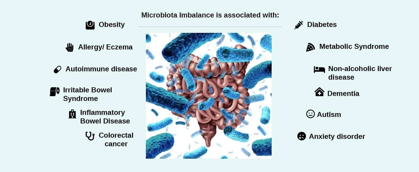 16S rRNA gut microbiome test - BioMed